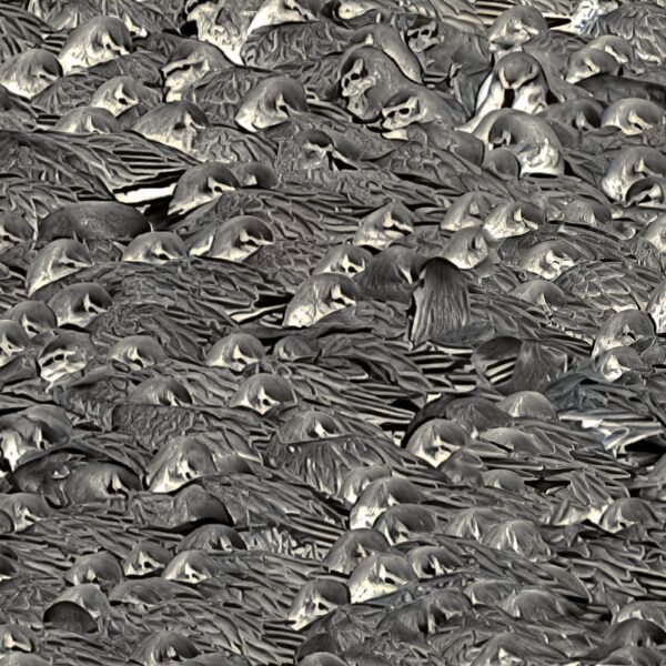 Identity - Knot huddling together detail