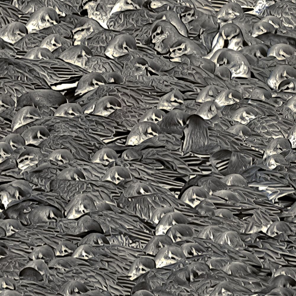 Identity - Knot huddling together detail