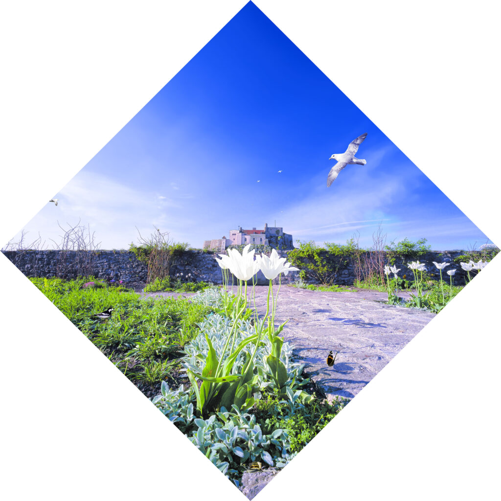 Lindisfarne Walled Garden, 2007