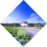 Lindisfarne Walled Garden, 2007