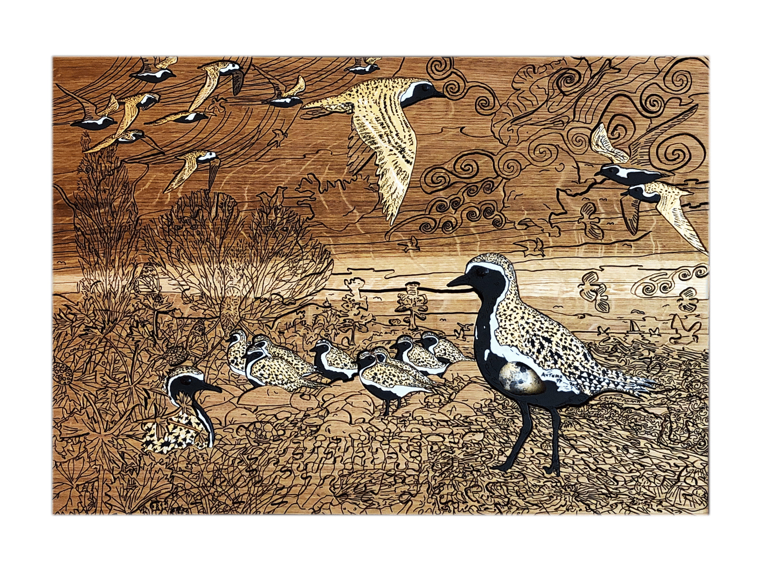 Golden Plover with Egg (Art Puzzle)