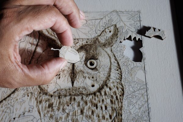 Artwork that is also a jigsaw puzzle