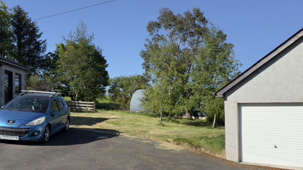 The ground where the log cabin is going – between studio and workshop, and just off the driveway